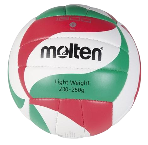 MOLTEN VOLLEYBALL 1900